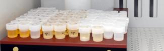 Vials on a hotplate